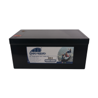 ENERGY RESEARCH POWER BUDDY LITHIUM ACCU 36V/100AH akumuliatorius